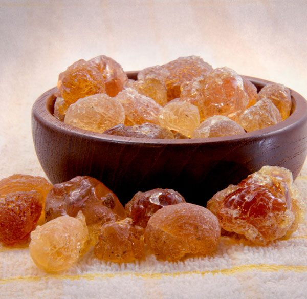 Gomme Arabique Acacia Seyal