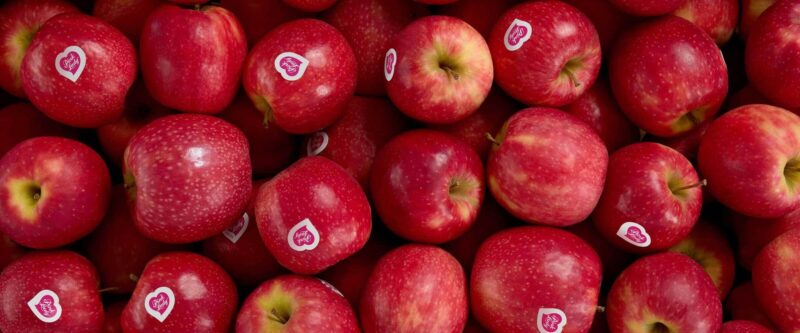 Pommes Pink Lady Premium