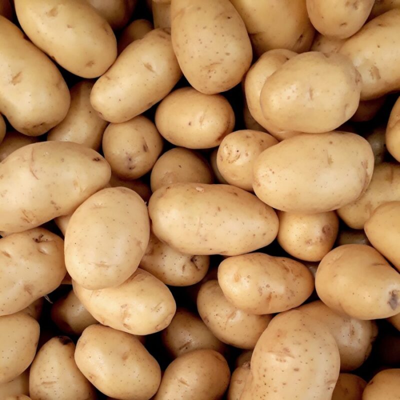 Pommes de Terre Premium
